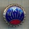 Y 479 INSIGNA- ,,NKF&quot; -UNIUNEA NORVEGIANA A MUNCITORILOR -PENTRU COLECTIONARI