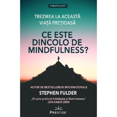 Ce este dincolo de Mindfulness? - Stephen Fulder foto