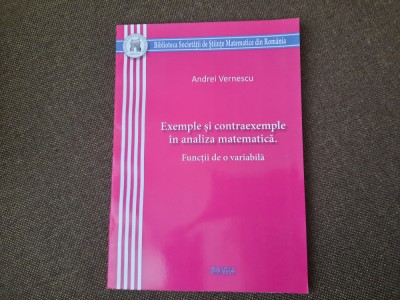 ANDREI VERNESCU EXEMPLE SI CONTRAEXEMPLE IN ANALIZA MATEMATICA FUNCTII foto