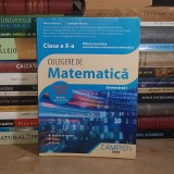 MARIUS BURTEA - CULEGERE DE MATEMATICA * CLASA A X-A / SEMESTRUL I , 2022 *