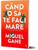 C&acirc;nd o să te faci mare - Miguel Gane - Roman autobiografic despre imigranți rom&acirc;ni &icirc;n Spania. Debut &icirc;n proză, spirit poetic.