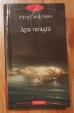 Apa neagra de Joyce Carol Oates, Polirom