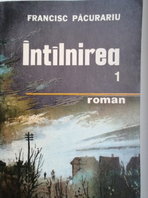 FRANCISC PĂCURARIU - INTILNIREA foto