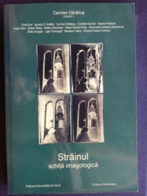 Strainul schita imagologica- Carmen Darabus foto