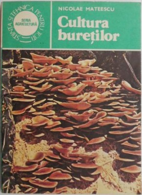 Cultura buretilor &amp;ndash; Nicolae Mateescu foto
