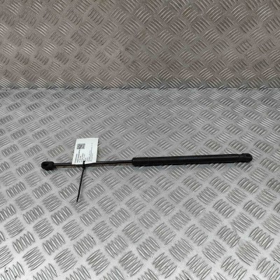 Amortizor capota st&amp;acirc;nga față AUDI Q7 4L 2007 OEM: 4L0823359 29771004 foto