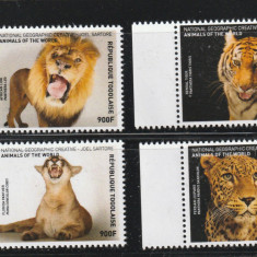 Togo 2016-Fauna,leopard,leu,pantera,tigru,serie 4 valori,MNH,Mi.7929-7932