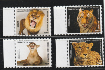 Togo 2016-Fauna,leopard,leu,pantera,tigru,serie 4 valori,MNH,Mi.7929-7932 foto