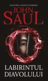 Cumpara ieftin Labirintul diavolului. Maestrul genului horror/John Saul, Rao