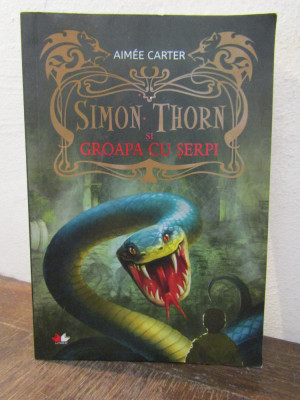 Simon Thorn si groapa cu serpi - Aimee Carter foto