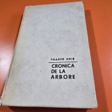 Cronica de la Arbore - Toader Hrib cu dedicatia autorului