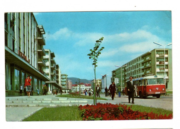 BAIA MARE MAGAZIN MOBILA AUTOBUZ TV AUTO