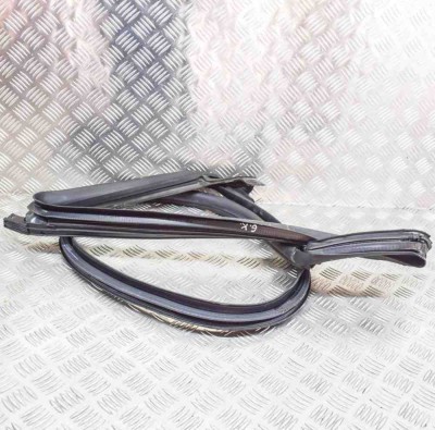 Garnitura ușă st&amp;acirc;nga spate TESLA MODEL 3 2019 OEM: 1090499-99-F foto