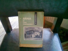 BANIA IN TARA ROMANEASCA - ST. STEFANESCU foto