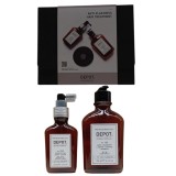 Consumer Kit C Set Depot: 100 Hair Cleansing No. 102, Botanical Complex, Hair Shampoo, Anti-Dandruff &amp; Sebum Control, 250 ml + 2