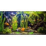 Autocolant Acvariu cu Pesti - 125x65 cm