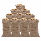 Cumpara ieftin Saci de iuta, 10 buc., 65x135 cm, iuta 100%, 220 g/m&sup2;