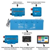 Pachet 12 x Baterie Smart LiFePO4, Victron BAT524120610, BMS, capacitate stocare 60 kWh SafetyGuard Surveillance