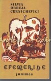Cumpara ieftin Efemeride - Silvia Obreja Cernichevici - Junimea, 1981 - Roman, Beletristica