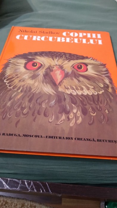 COPII CURCUBEULUI NIKOLAI SLADKOV -FORMAT MARE