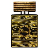 Louis Cardin, Ray, Apă de parfum, Pentru bărbați, 100 ml
