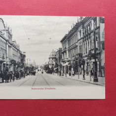 Bucuresti Bukarest Bulevardul Elisabeta Trasura cu Muscal Carriage Birje