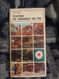 e3 VULTURI PE ARBORELE DE FOC-IULIU RATIU