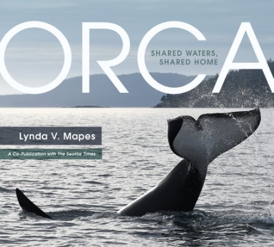 Orca: Shared Waters, Shared Home foto