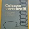 N. Diaconescu - Coloana vertebrala