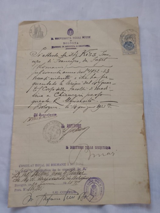 Universitatea bologna document