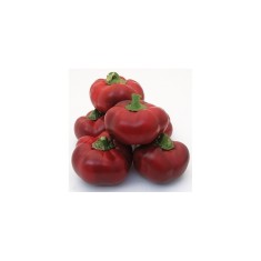 Planta Ardei topepo roșu, planta peperone topepo f1 rosso, ghiveci de 10 cm