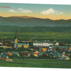 3756 - SIGHET, Maramures, Panorama, Romania - old postcard, CENSOR - used - 1916