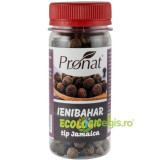 Ienibahar Boabe Tip Jamaica Ecologic/Bio 35g