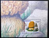 Ciuperci - Tadjikistan (Tojikiston) 2000 - Coliță Filatelică Individuală "Morchella steppicola" (Neștampilat / MNH) CP1_II