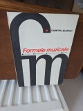Formele muzicale - Dumitru Bughici