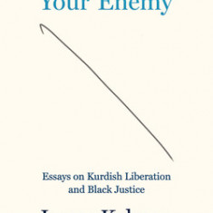 The State Is Your Enemy: Essays on Kurdish Liberation and Black Justice