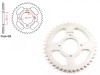 Pinion Spate 428-41T Revo, Distanta gauri 70mm, ATV, Pocket Bike