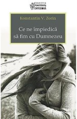 Ce ne impiedica sa fim cu Dumnezeu - Konstantin V. Zorin - Supergraph
