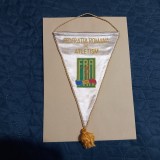 fanion Fed. romana de Atletism