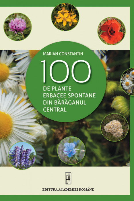 Marian Constantin - 100 de plante erbacee spontane din Bărăganul central