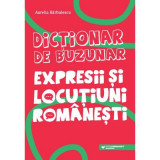 Dictionar de buzunar. Expresii si locutiuni romanesti - Aurelia Barbulescu, Editura Paralela 45