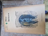 Mite Balauca vintage, 1971