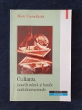 Culianu, Jocurile Mintii si Lumile Multidimensionale &ndash; Nicu Gavriluta, Polirom, 2000, Carte Bibliofilie