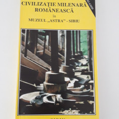 Arhitectura Civilizatie milenara romaneasca Muzeul Astra sibiu