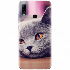 Husa silicon pentru Huawei P Smart 2019, British Shorthair Cat Yellow Eyes Portrait