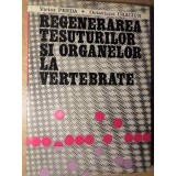 REGENERAREA TESUTURILOR SI ORGANELOR LA VERTEBRATE-VICTOR PREDA, OCTAVIANA CRACIUN-233879