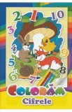Coloram cifrele. Privim si coloram, Autor Anonim