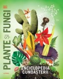 Enciclopedia cunoașterii. Plante și fungi - Dorling Kindersley (DK)