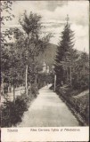 CP434 Sinaia Alea Carmen Sylva și Mănăstirea, ștampilă Gesangverein Typografia Hermannstadt