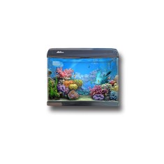 ACVARIU ADA 70LT KB-600F foto